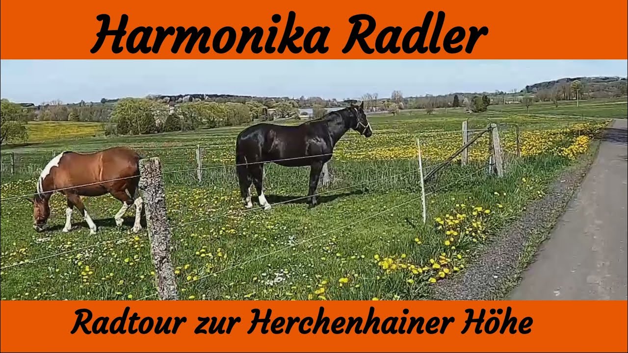 Radtour zur Herchenhainer H&ouml;he - Niedermosser See - Vulkanradweg