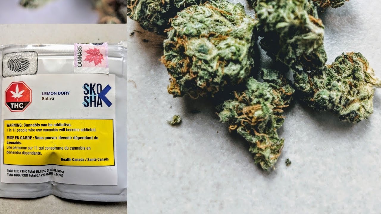 Canadian cannabis review Skosha Lemon Dory.