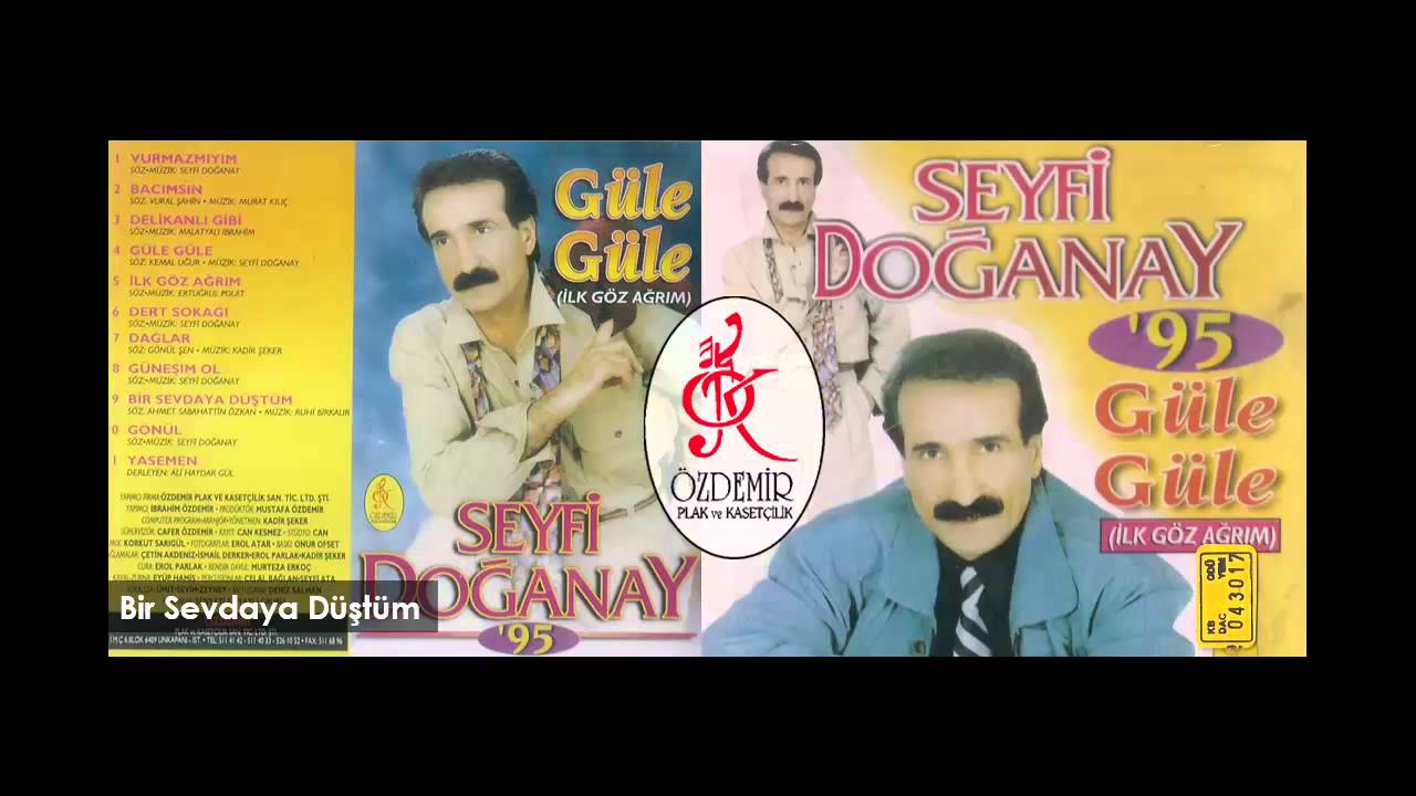 Bir Sevdaya D&uuml;şt&uuml;m | Seyfi Doğanay
