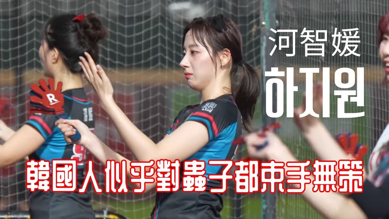 韓國人似乎對蟲子都沒輒！河智媛하지원大叔奮戰蟲蟲紀錄 #河智媛 #하지원 #啦啦隊 #cheerleader #棒球 #baseball #台湾野球チア #台湾野球 #치어리더