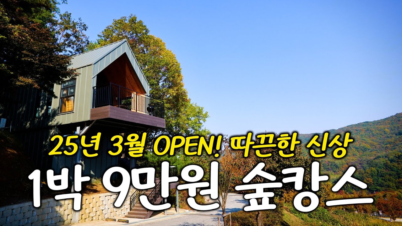 올해 3월에 지어진, 테라스가 끝내주는 숲 속 독채는 실제로 어떨까?
