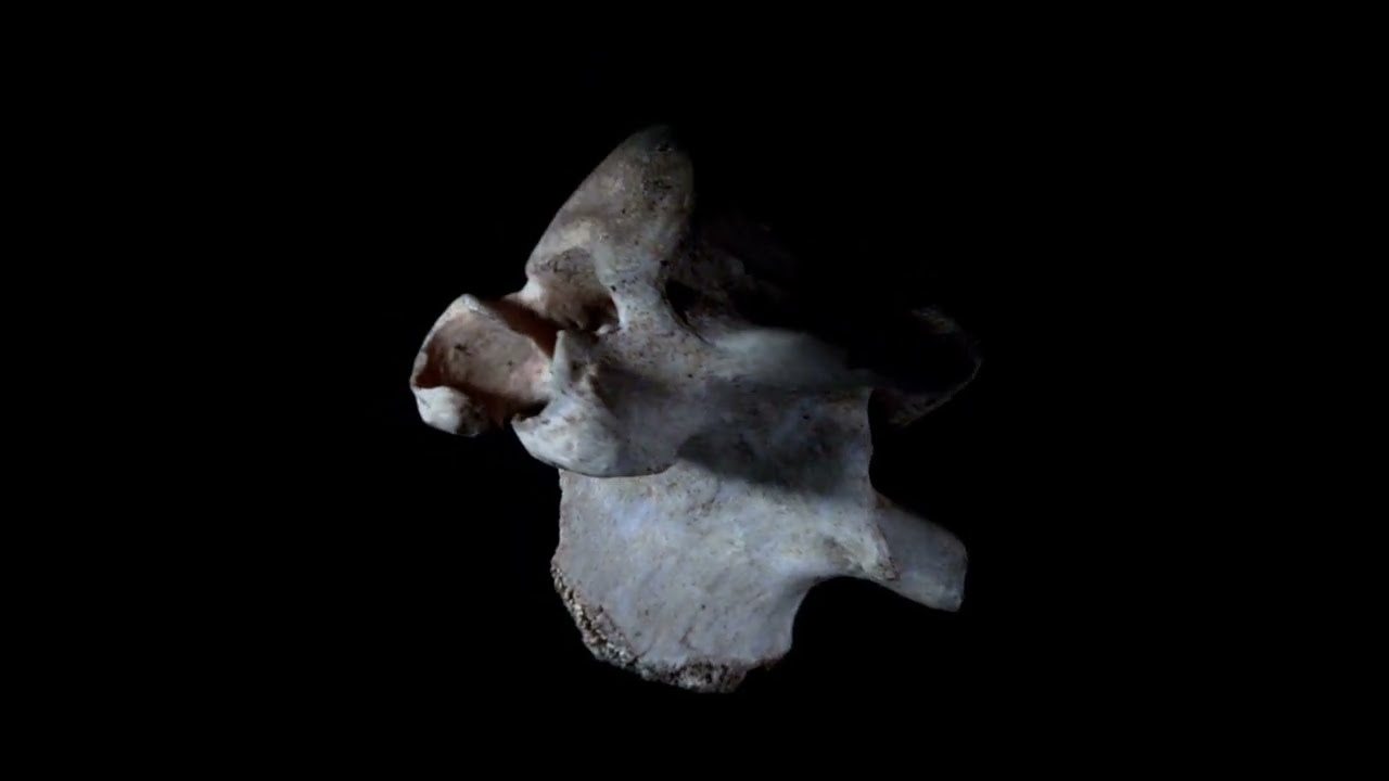 MARIA COMA | VOCAL ROOTS (music video)