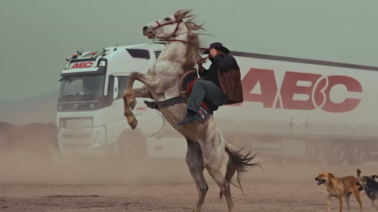 ABC Lojistik Tanıtım Videosu ( Yılkı Atları)