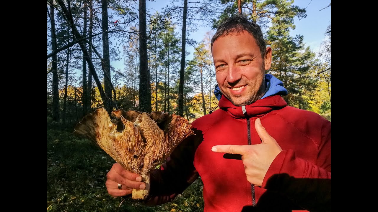 Stockholm und Mittelschweden im Herbst