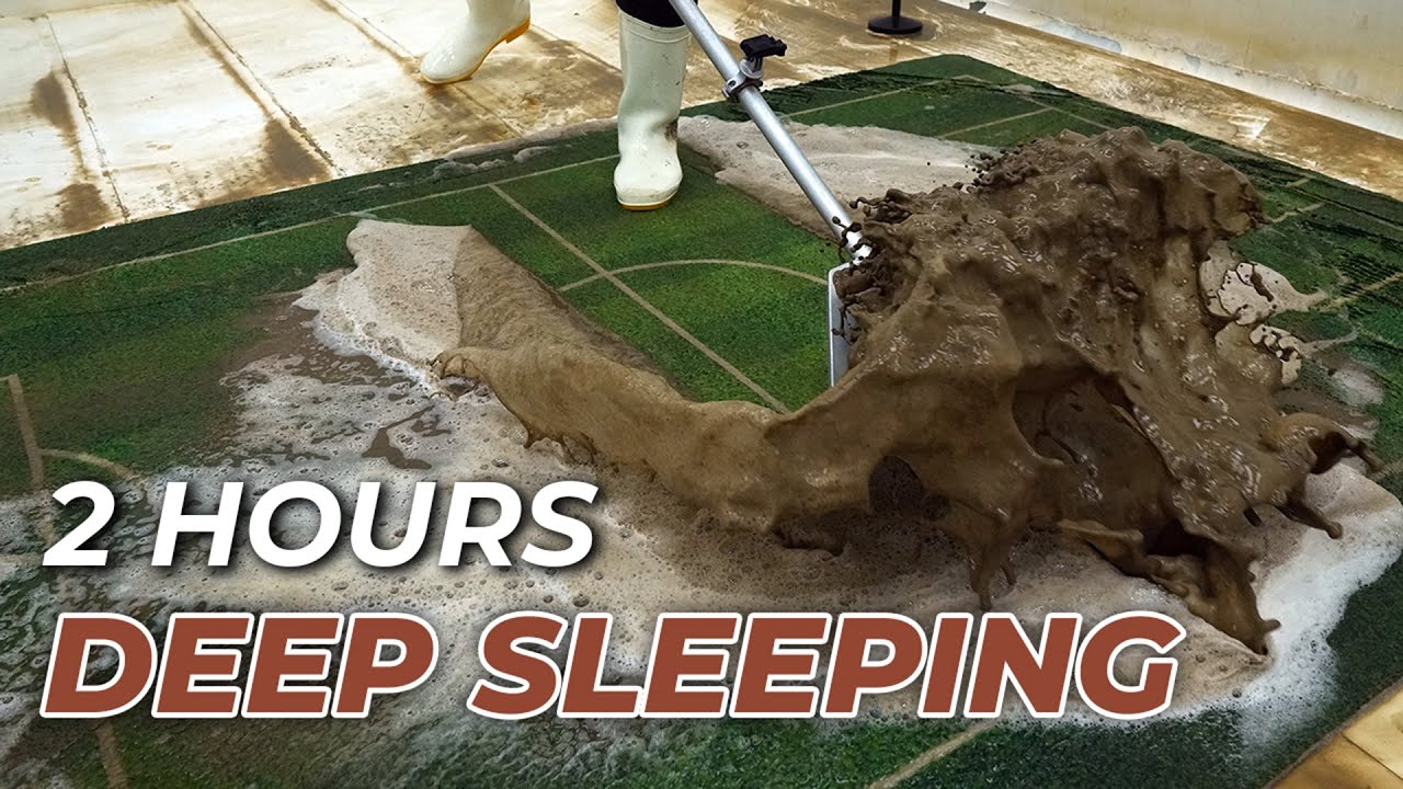 2 Hours Of Carpet Cleaning Helps You Sleep Well -  ASMR Sleep - Deep Sleep, Cleaning Rug Shaggy