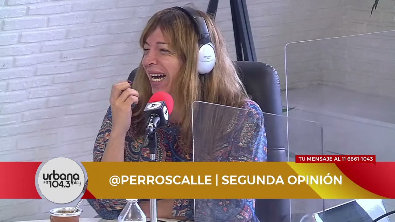 Segunda opinión en Perros de la Calle | Sección completa