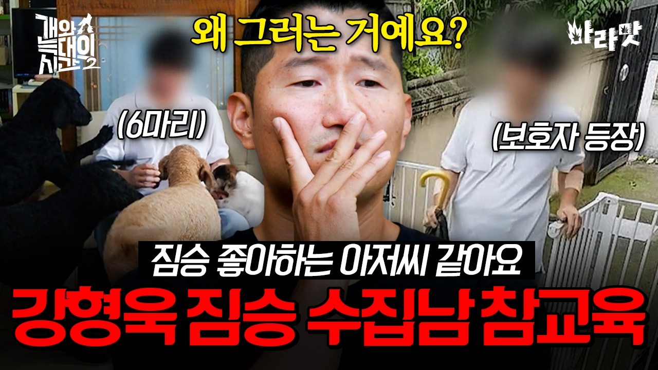 [#에이콕] 키우는 개 6마리+떠나보낸 개 4마리..💥근데도 대형견 입양해 번식하겠다는 보호자? | #개와늑대의시간 8회