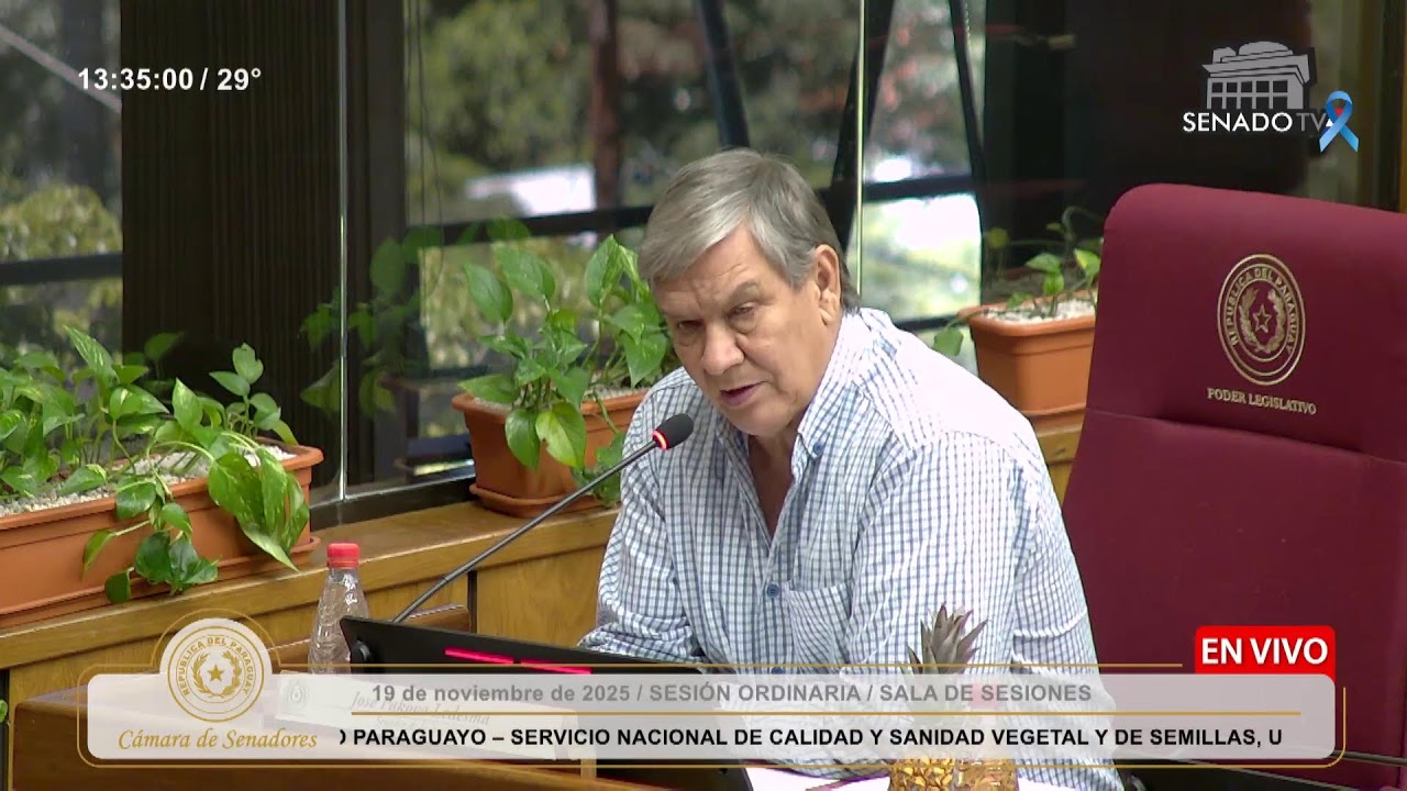 SESI&Oacute;N ORDINARIA DE LA C&Aacute;MARA DE SENADORES - 19.11.2025