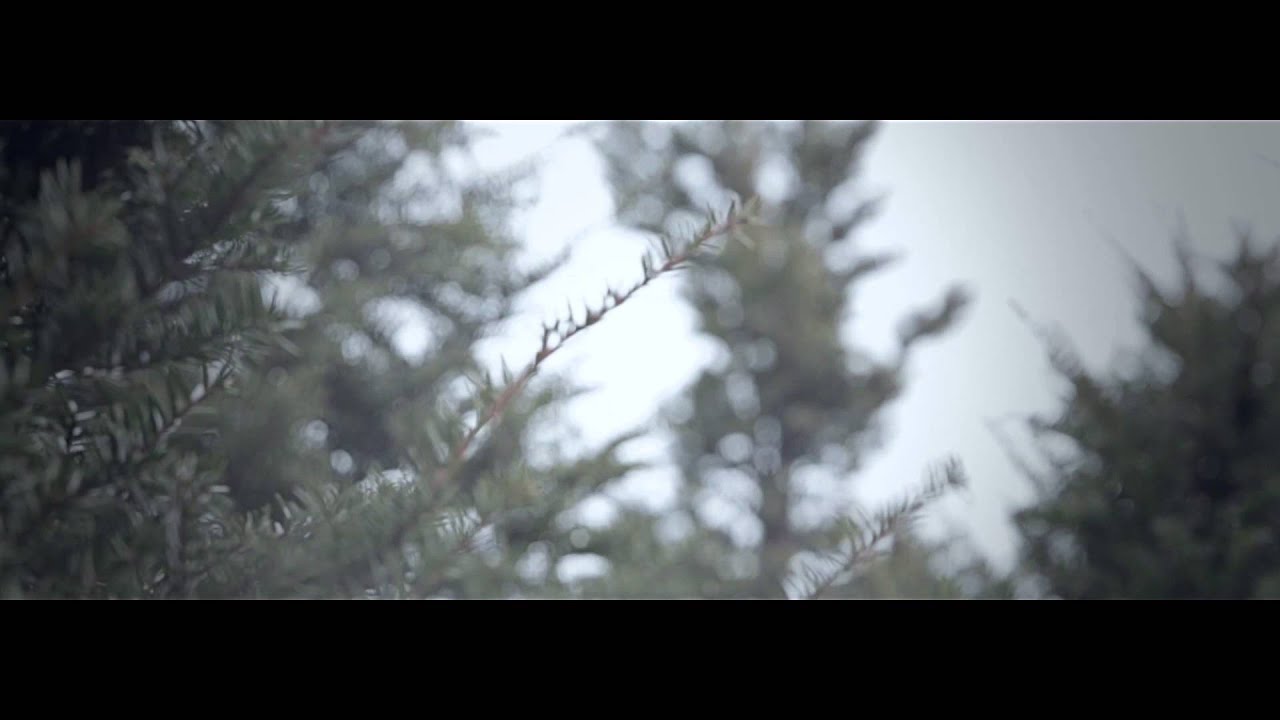 [MV] TRITOPS 트리탑스 - Your Fever 너의 체온