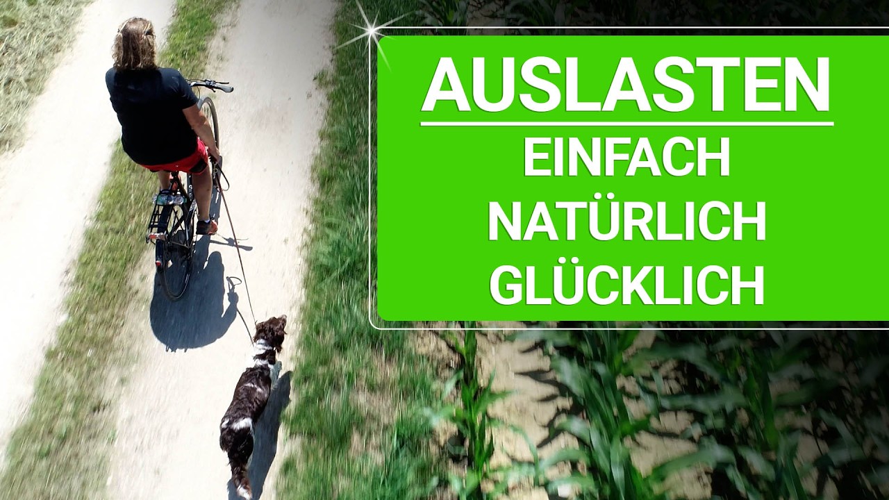 💥🐶 Hund AUSLASTEN aber mit Verstand 👉 So geht’s natürlich & artgerecht 🐶💥✔️