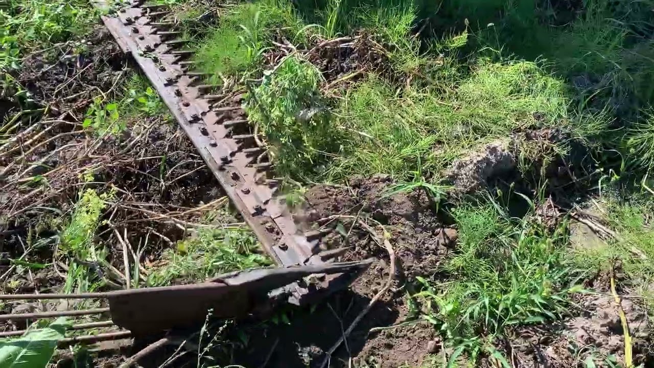 Копаємо картоплю 🥔👍
