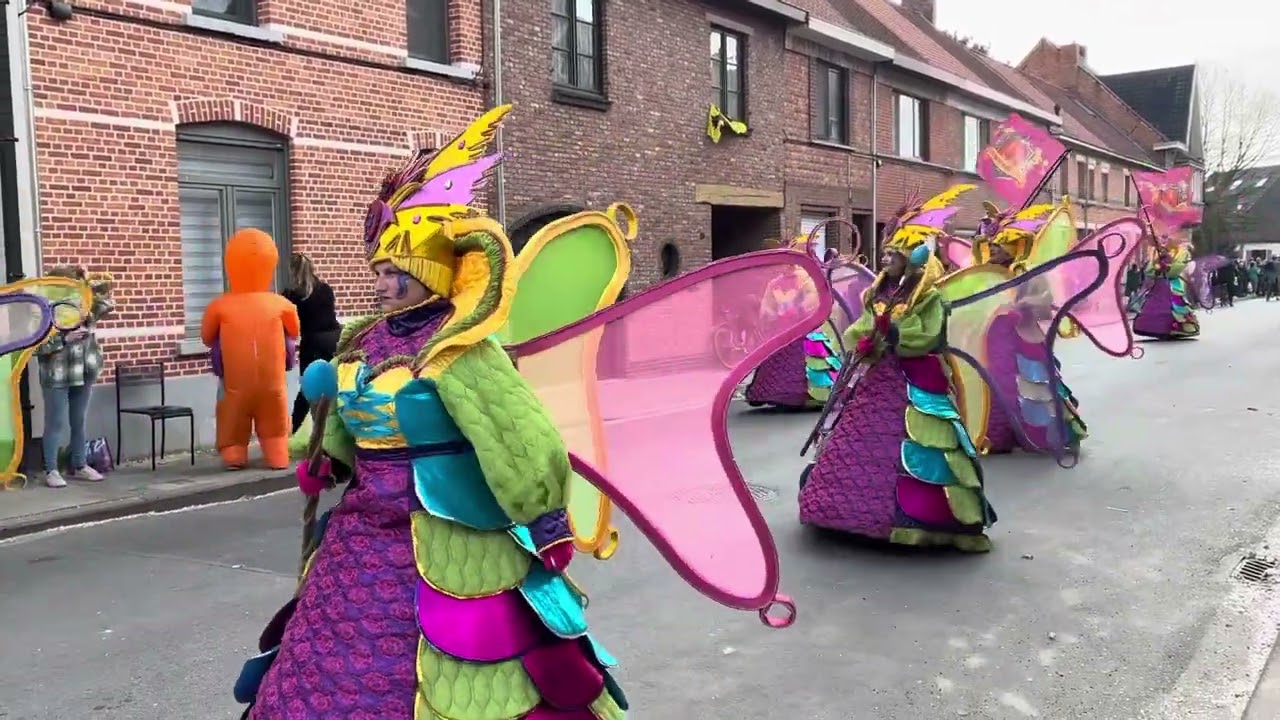 Carnavalstoet Hamme 2025 - Kv de moesenezen - 22 jaar in dromenland