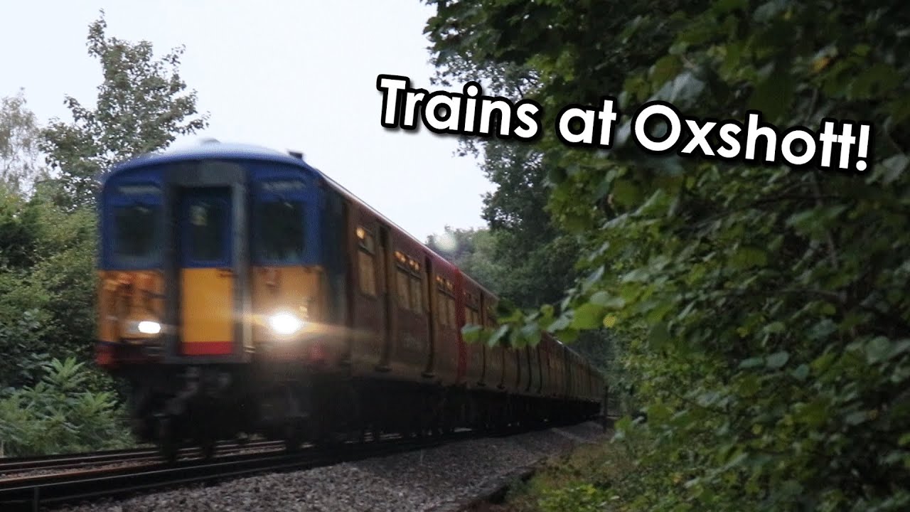 Trains at Oxshott