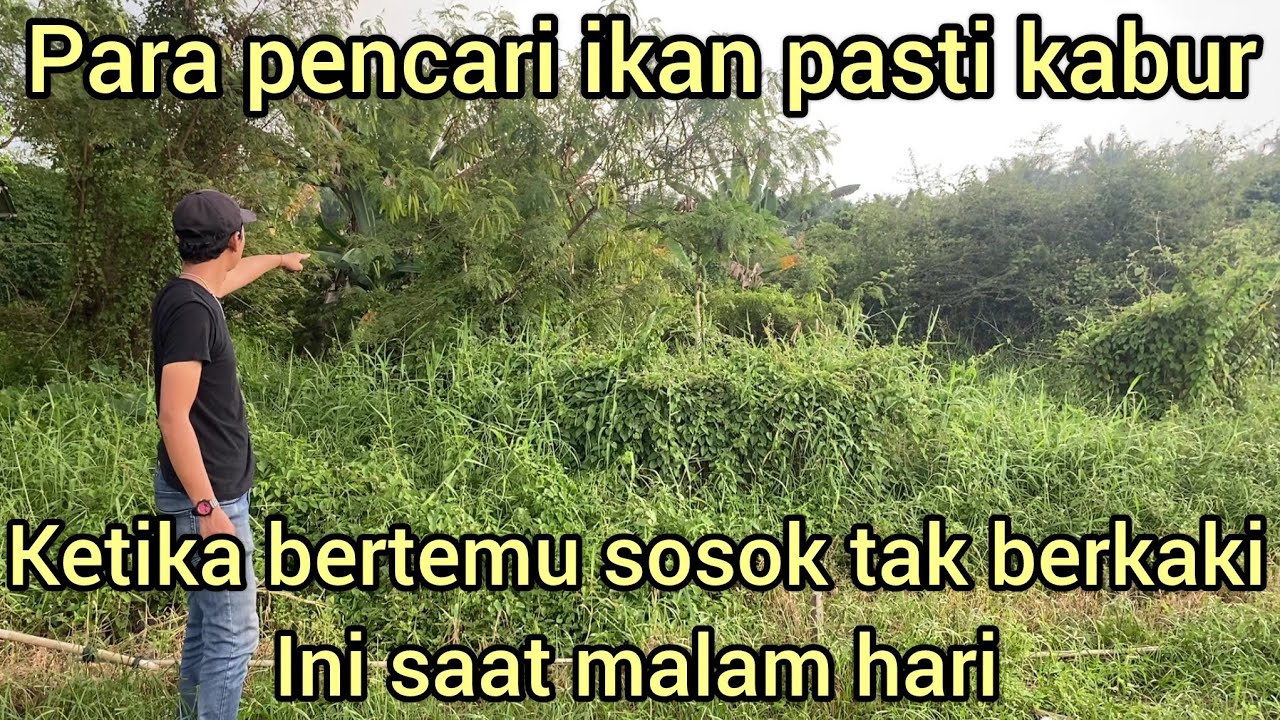 MAHLUK TAK BERKAKI INI SERING DATANGIN ORANG YANG SEDANG MANCARI IKAN SAAT MALAM HARI