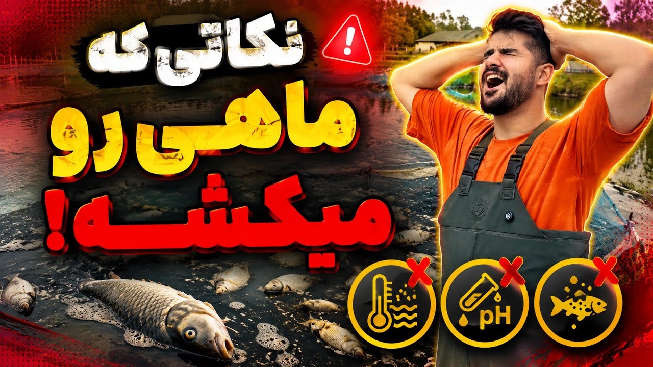 شرایط آب در پرورش ماهی | ۶ نکته طلایی برای رشد سریع و جلوگیری از تلفات