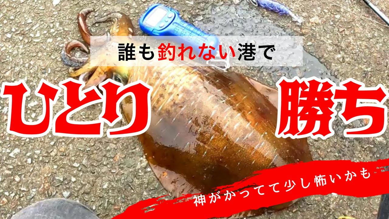 【エギング】潮止まり直前にモンスター!!