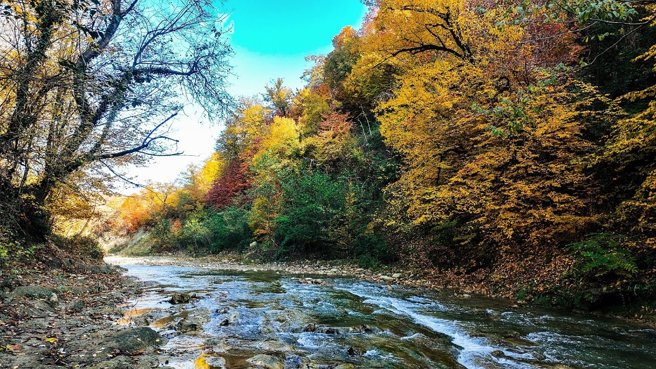 Autumn forest walk to a calm river | Kiasar Road, Mazandaran