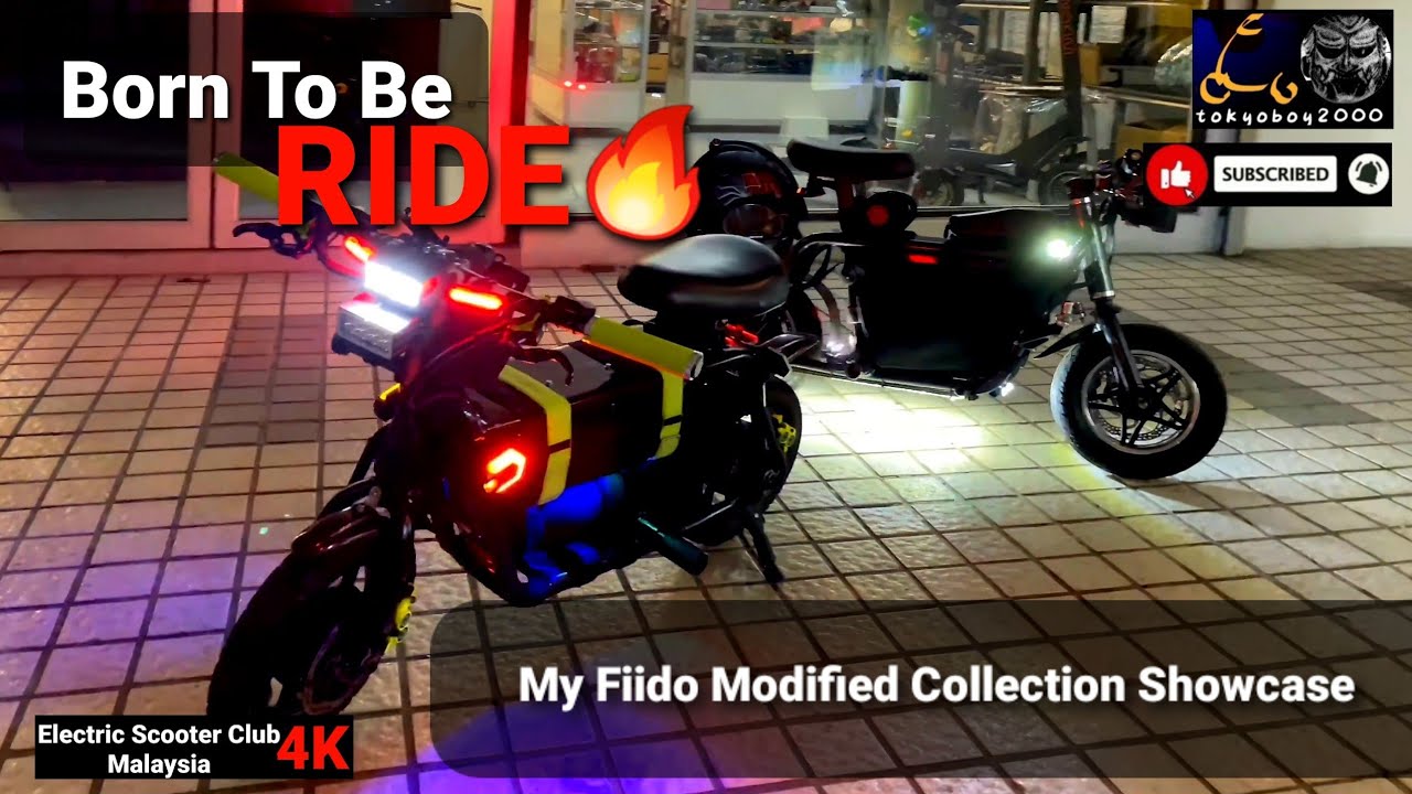 Born To Be Ride ! My Fiido Modified Collection Showcase