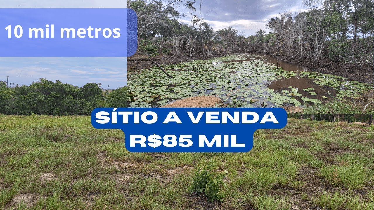 #008 Vendo sítio de 10 mil m² , com  nascente , próximo asfalto, em Alcobaça- BA. R$ 85 mil .
