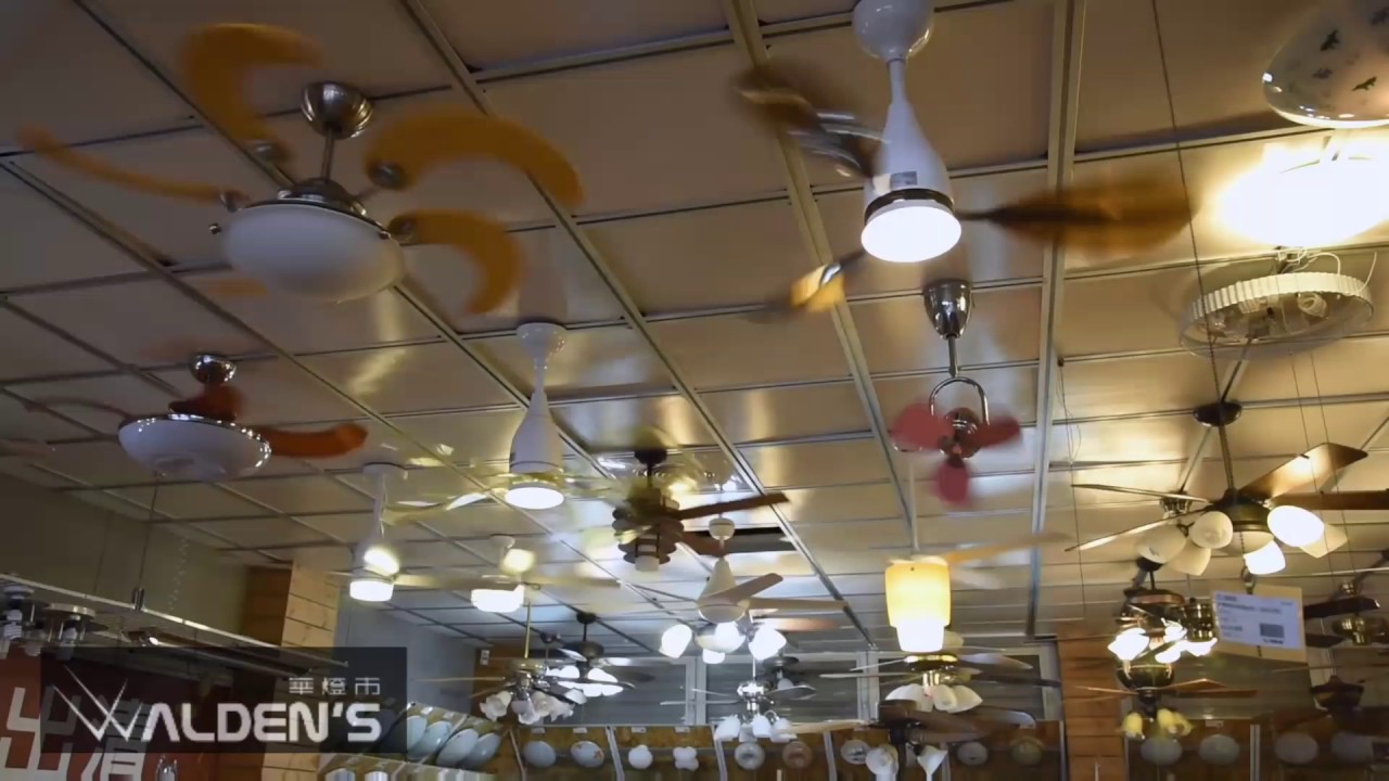 華燈市環中店吊扇展示|各種精品吊扇通通有