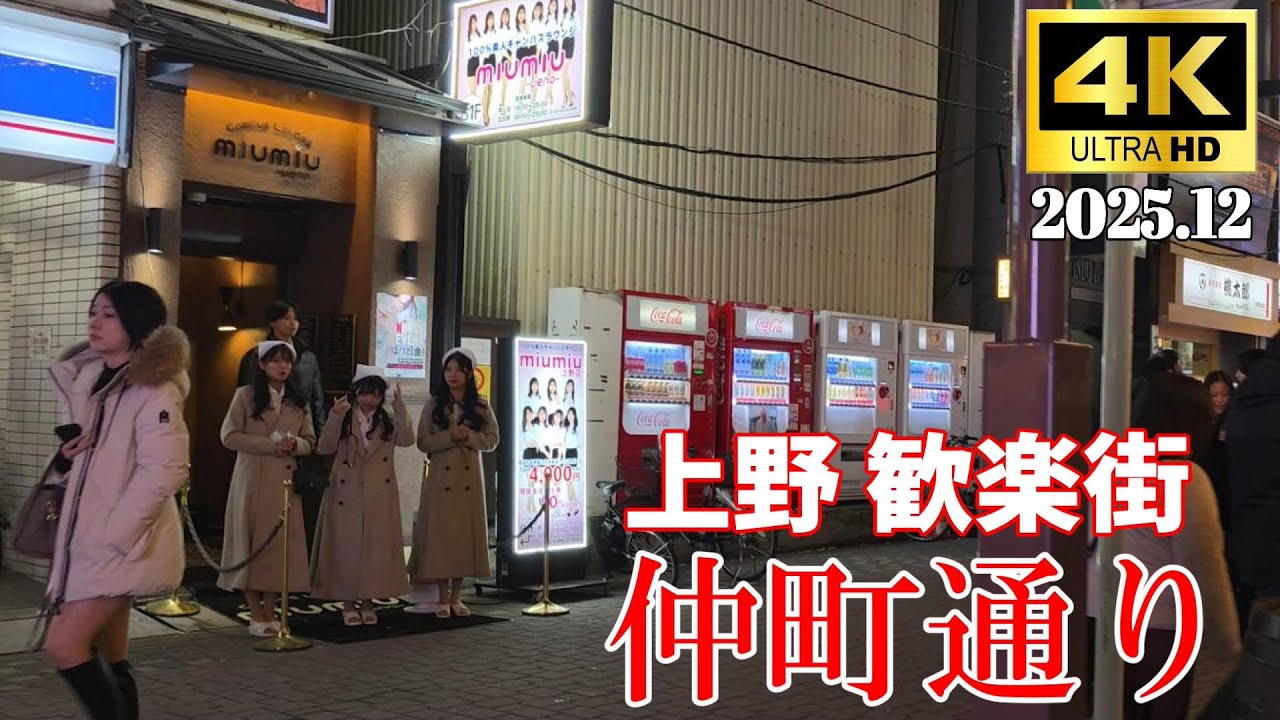 【4K Japan】2025.12 上野歓楽街 仲町通り『Nakacho Street, Ueno Entertainment District』#上野 #歓楽街 #仲町通り #キャバクラ #飲食店
