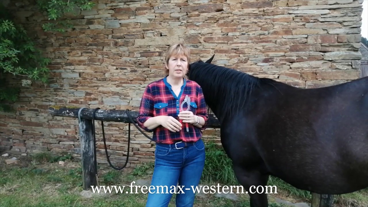 Christine Martinetz Anleitung Widerristmaß Freemax Western