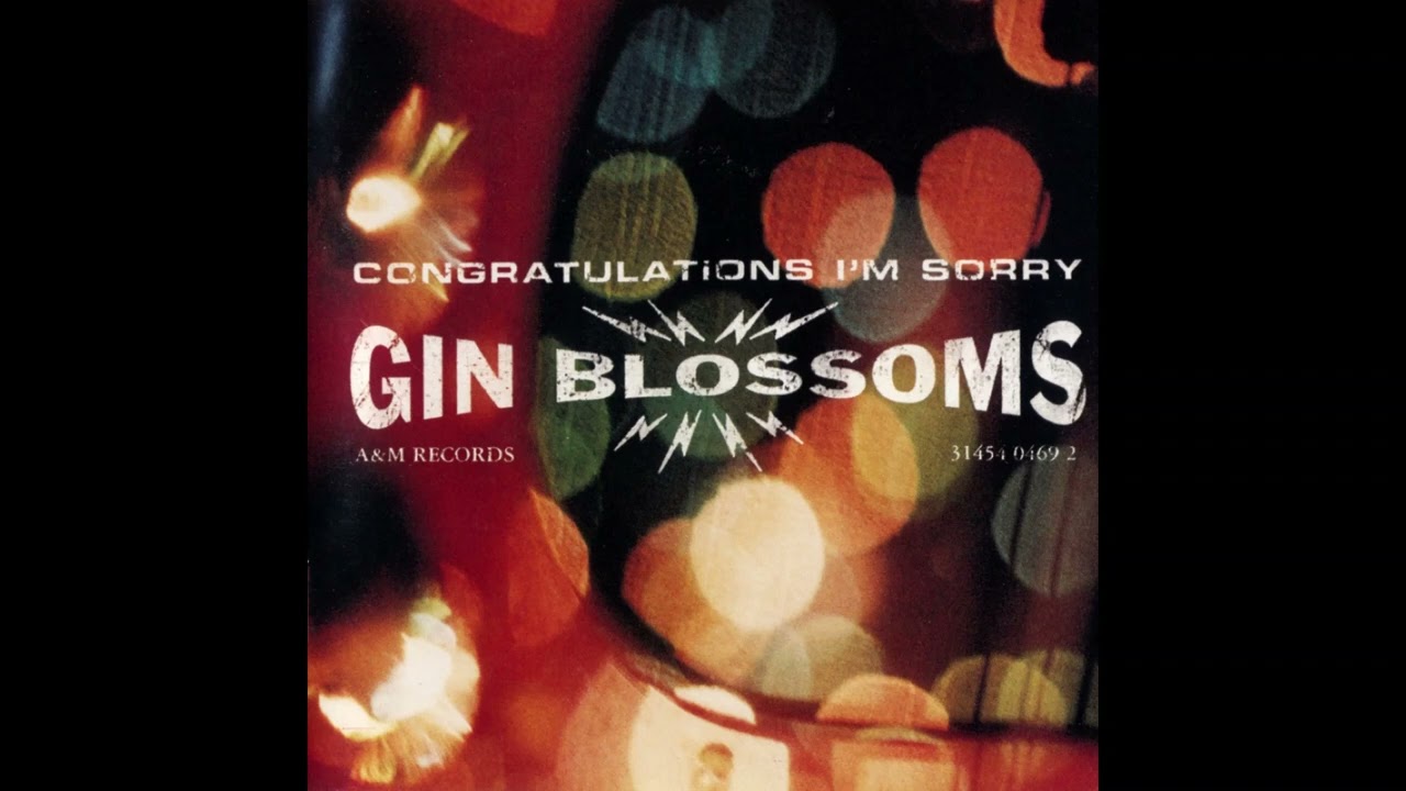As Long As It Matters - Gin Blossoms HQ (Audio)