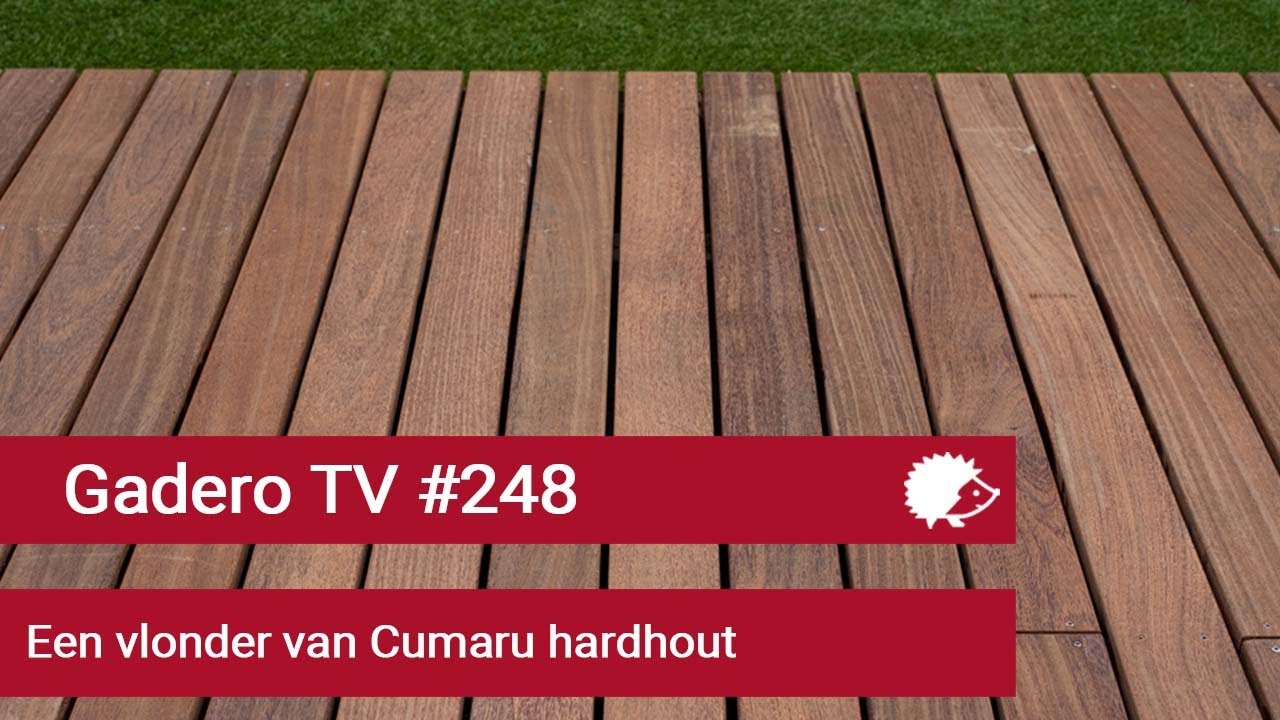 #248 Wat is Cumaru hout?