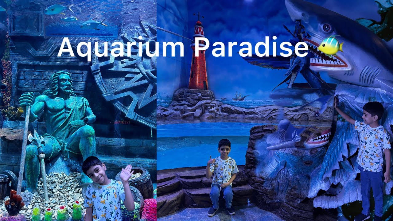 Aquarium Paradise 🐠 in Bangalore| Most stunning aquarium #aquariumparadise  #seacreatures #banglore