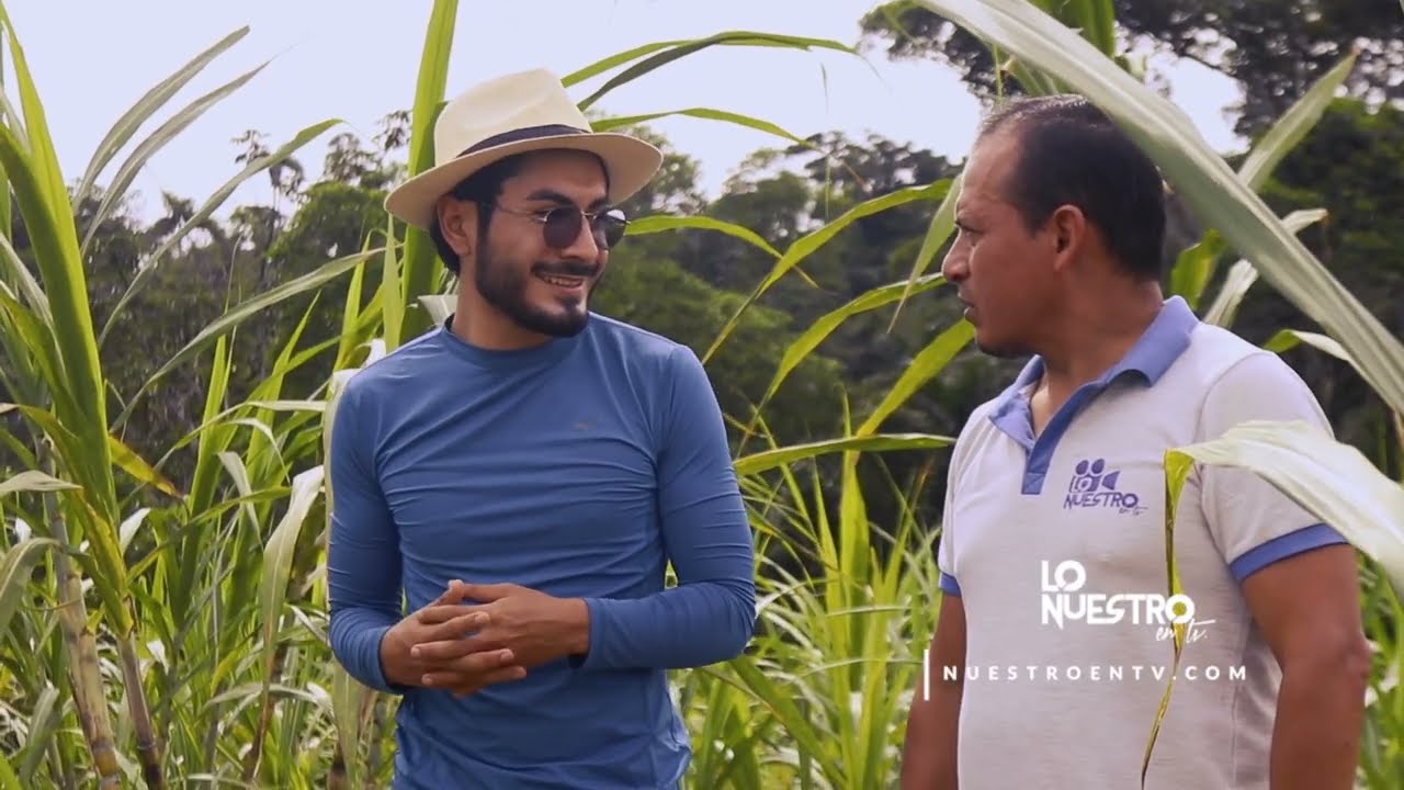 Descubre Cómo hacer el Mejor Licor Artesanal 