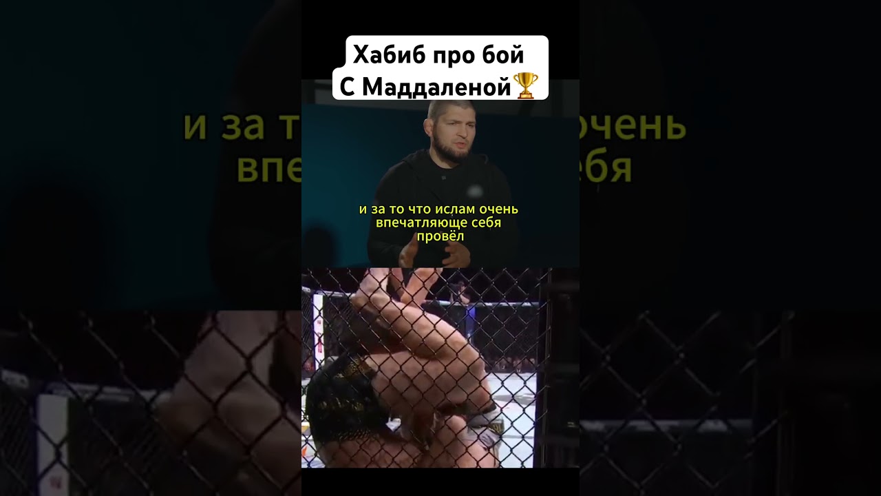Хабиб про бой Ислама с Маддаленой #ufc #хабиб #бой