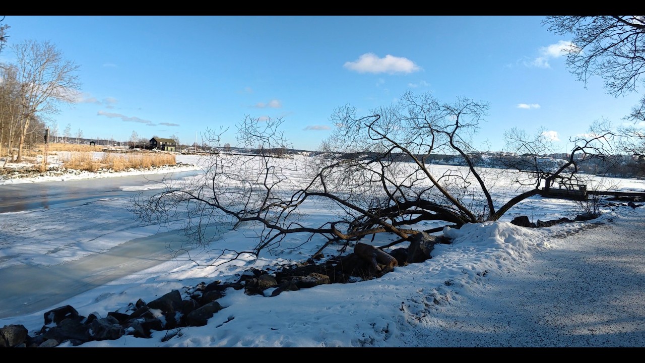 Djurgården Run pt 2   15 Feb 26