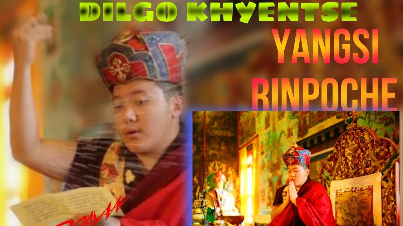 DILGO KHYENTSE Yangsi rinpoche//🙏 Speech on this video||