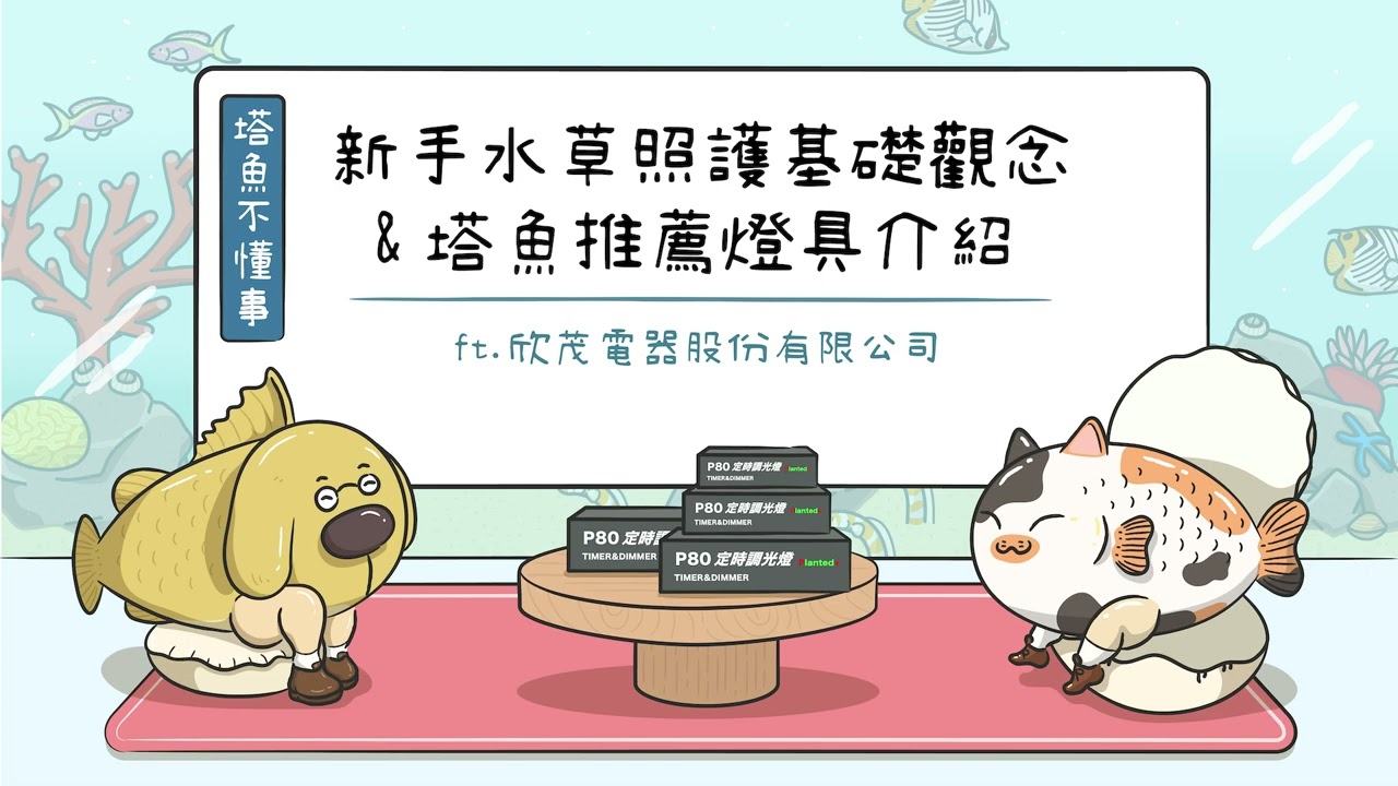 [塔魚不懂事] 新手水草照護基礎觀念 & 塔魚推薦燈具介紹 ft.欣茂電器股份有限公司