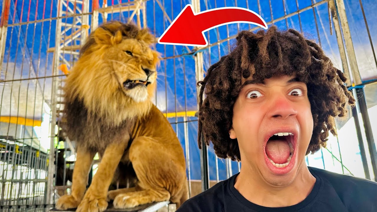 تحدى البقاء مع 5 اسود فى قفص واحد 😱