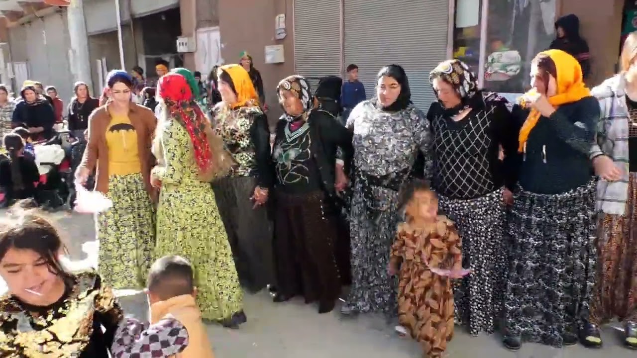 NİZİP DÜGÜN BABANIN OGLU HALİLİN 5
