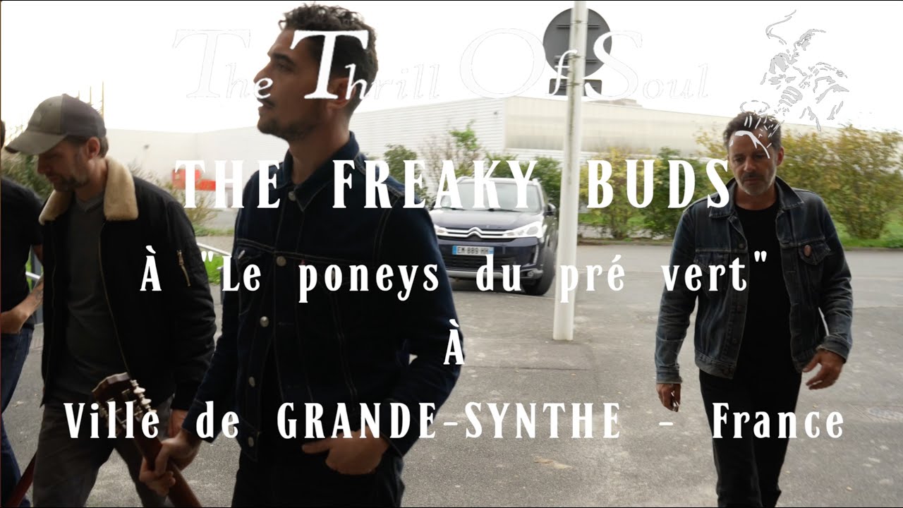 THE THRILL OF SOUL... THE FREAKY BUDS AU  PONEY CLUB