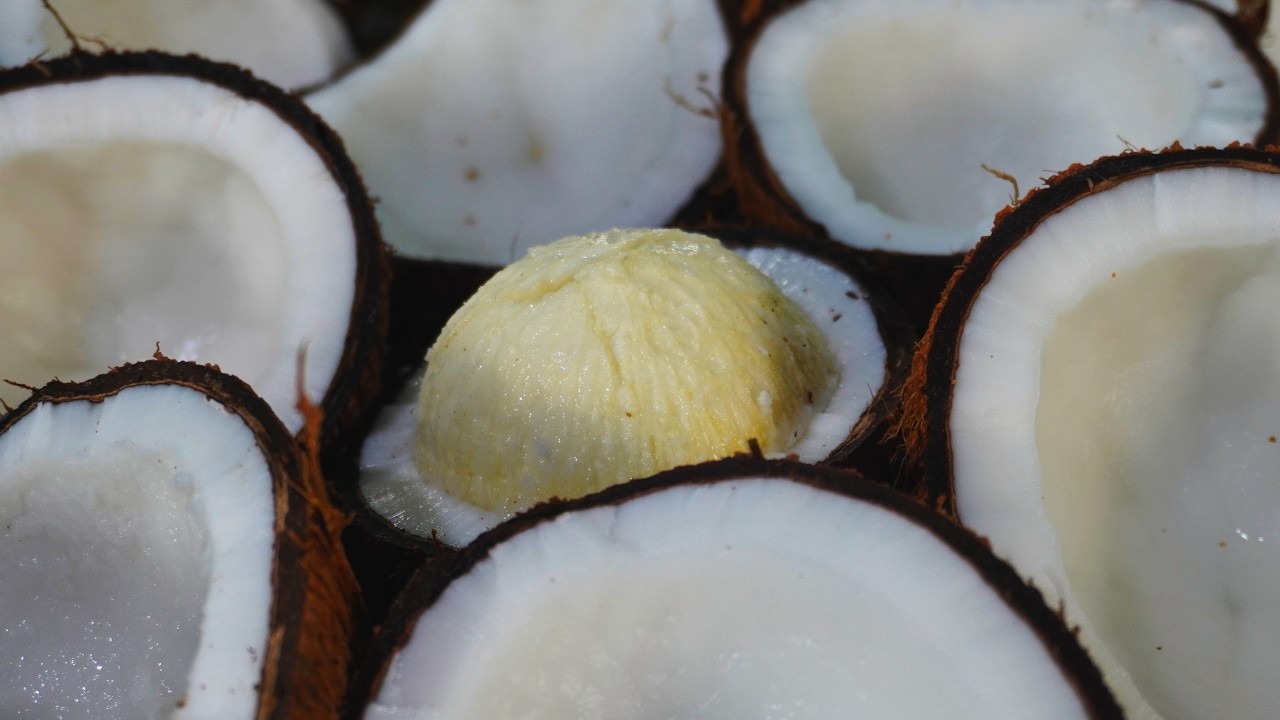 How I Made Coconut Oil at Home With Just 2 Methods!