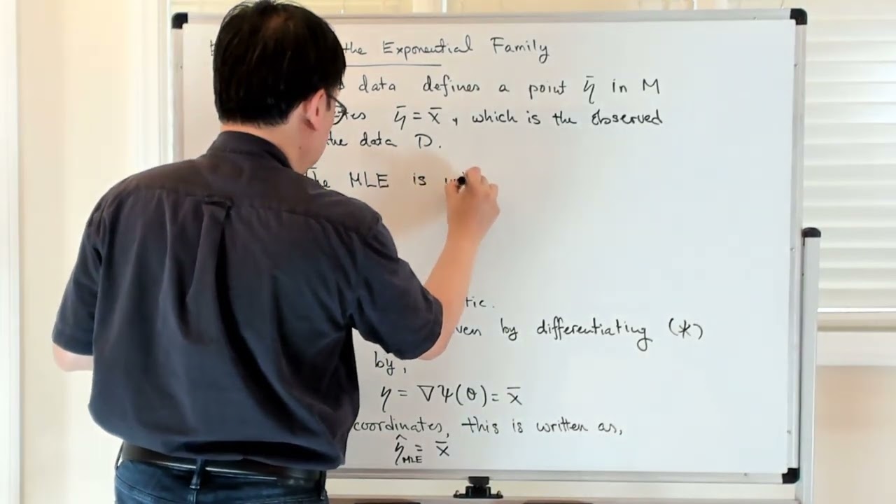 Estimation in the Exponential Family