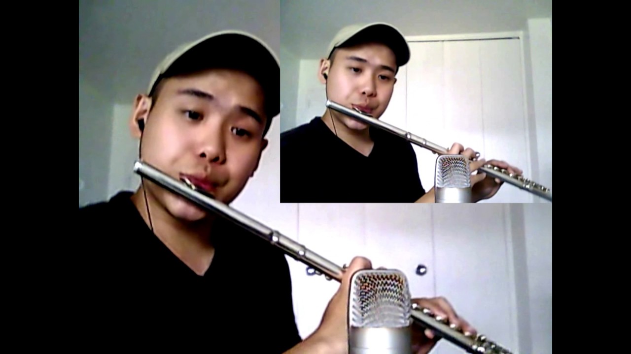 Alicia Keys- If I Ain't Got You (Flute Cover)