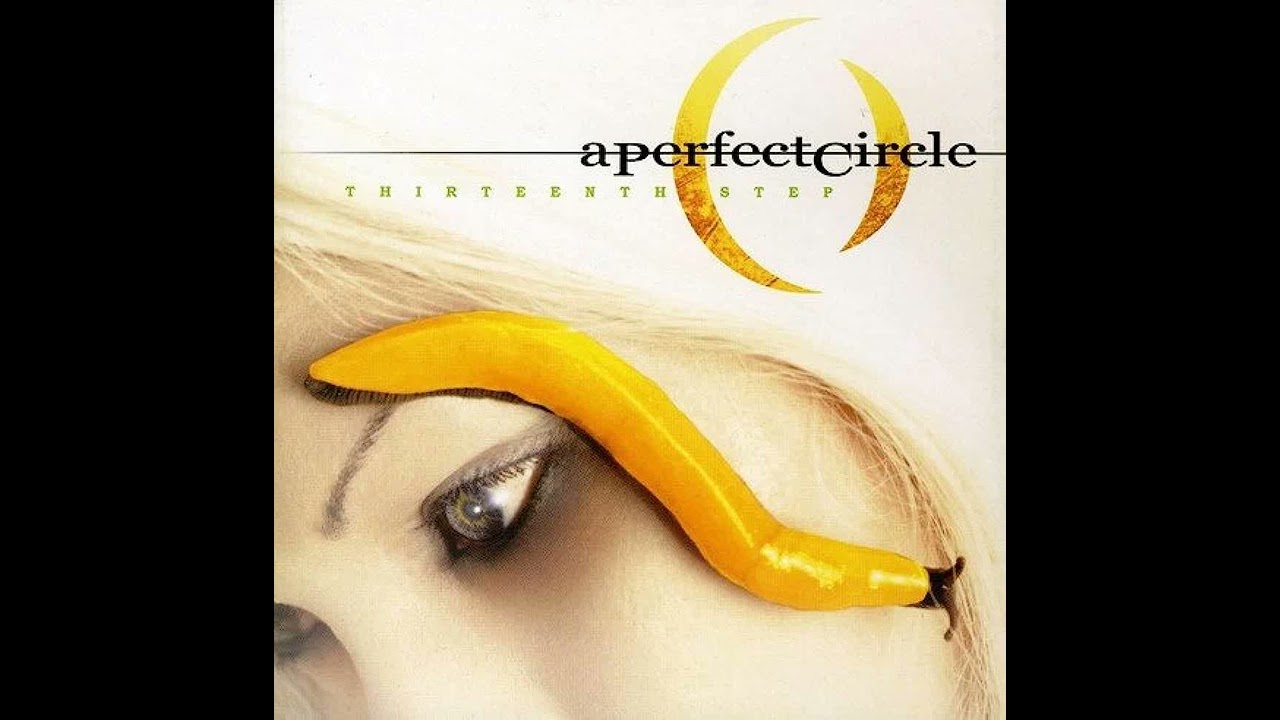 A Perfect Circle - The Package [Instrumental]
