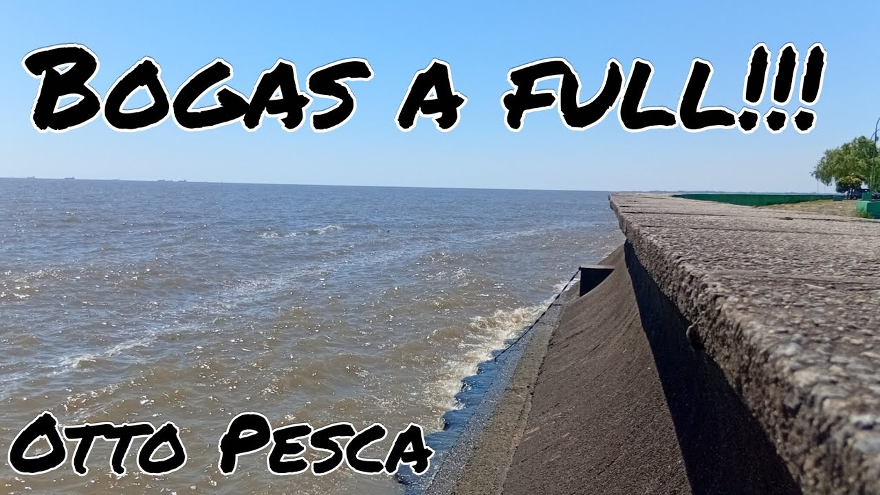 🇦🇷 PESCA de COSTA en el río de La Plata #pesca #riodelaplata 