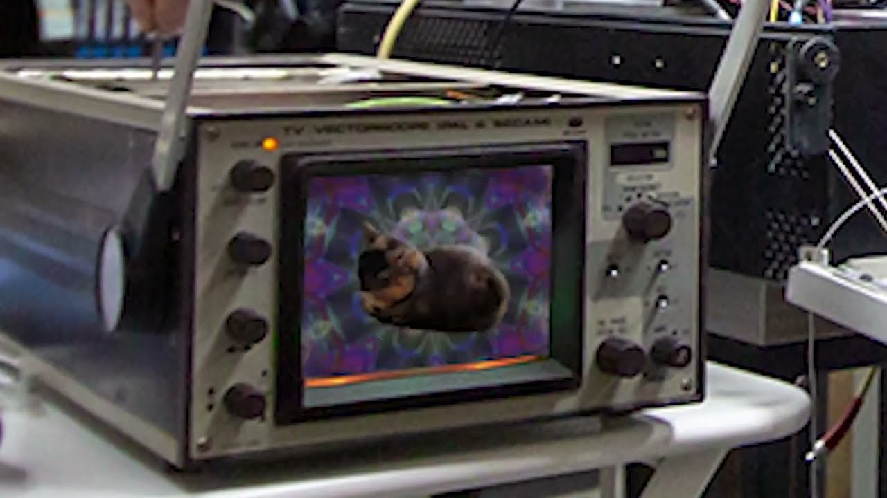 vetosh the oiia oiia cat vectorscope ver. | КТ