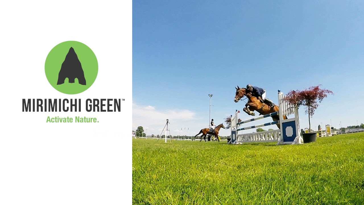 Mirimichi Green - Equine Spot (30s)