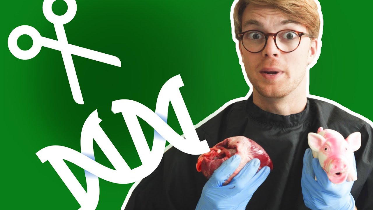 Genteknologi kan ændre ALT