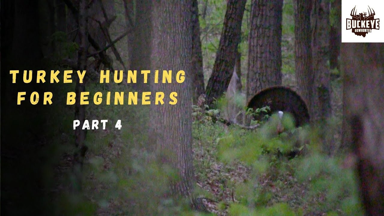 Field Scouting for Turkey 101 - How to read turkey sign
