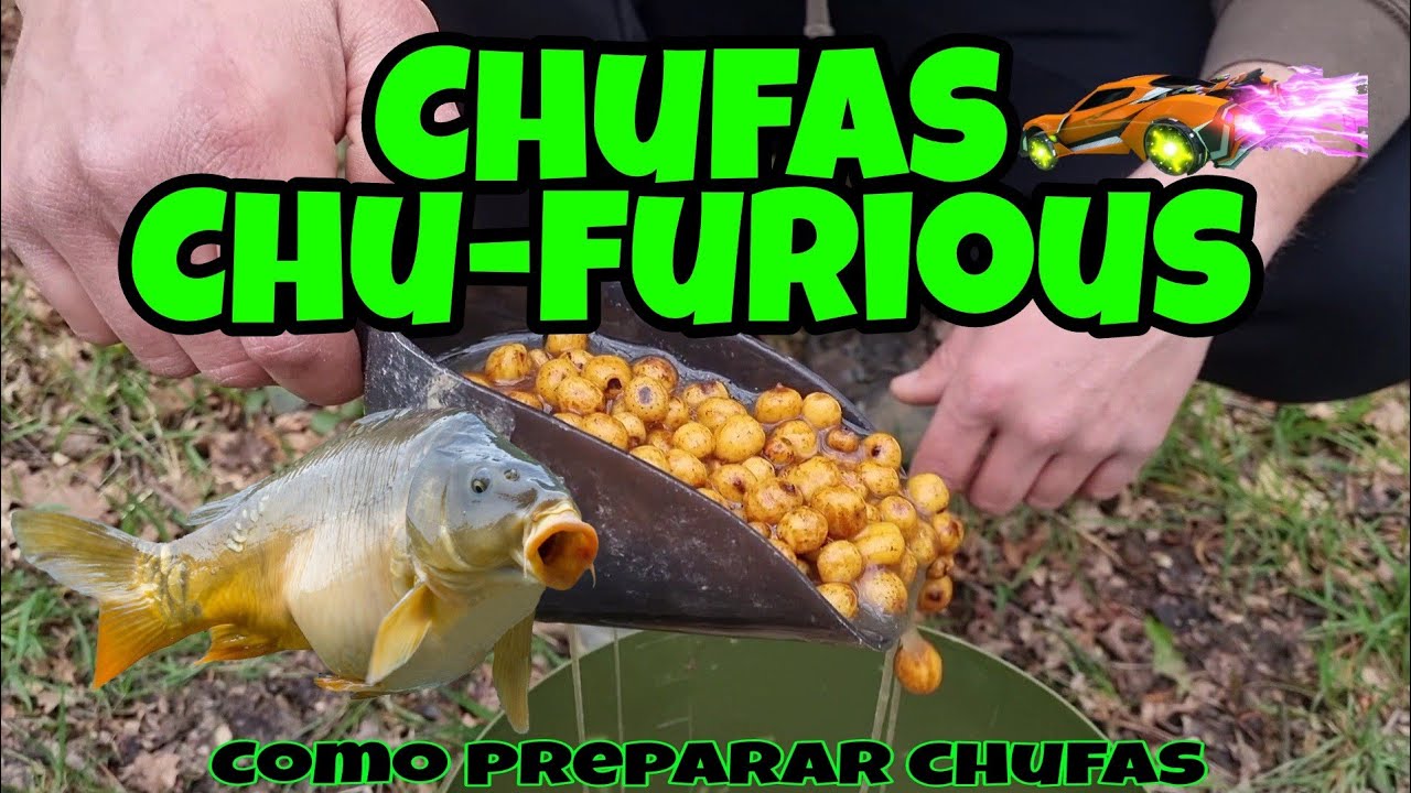 COMO PREPARAR CHUFAS🫕👨‍🍳CHUFAS PARA CARPFISHING🎣TIGER NUT/CEBOS NATURALES🐟