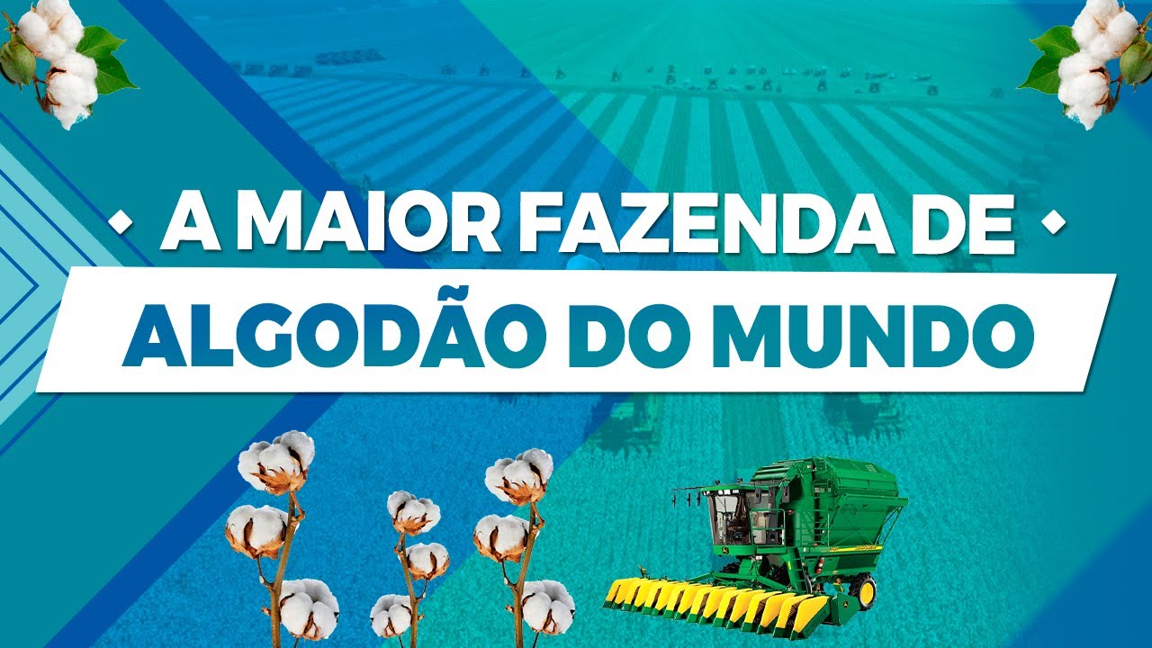 A MAIOR FAZENDA DE ALGODÃO DO MUNDO
