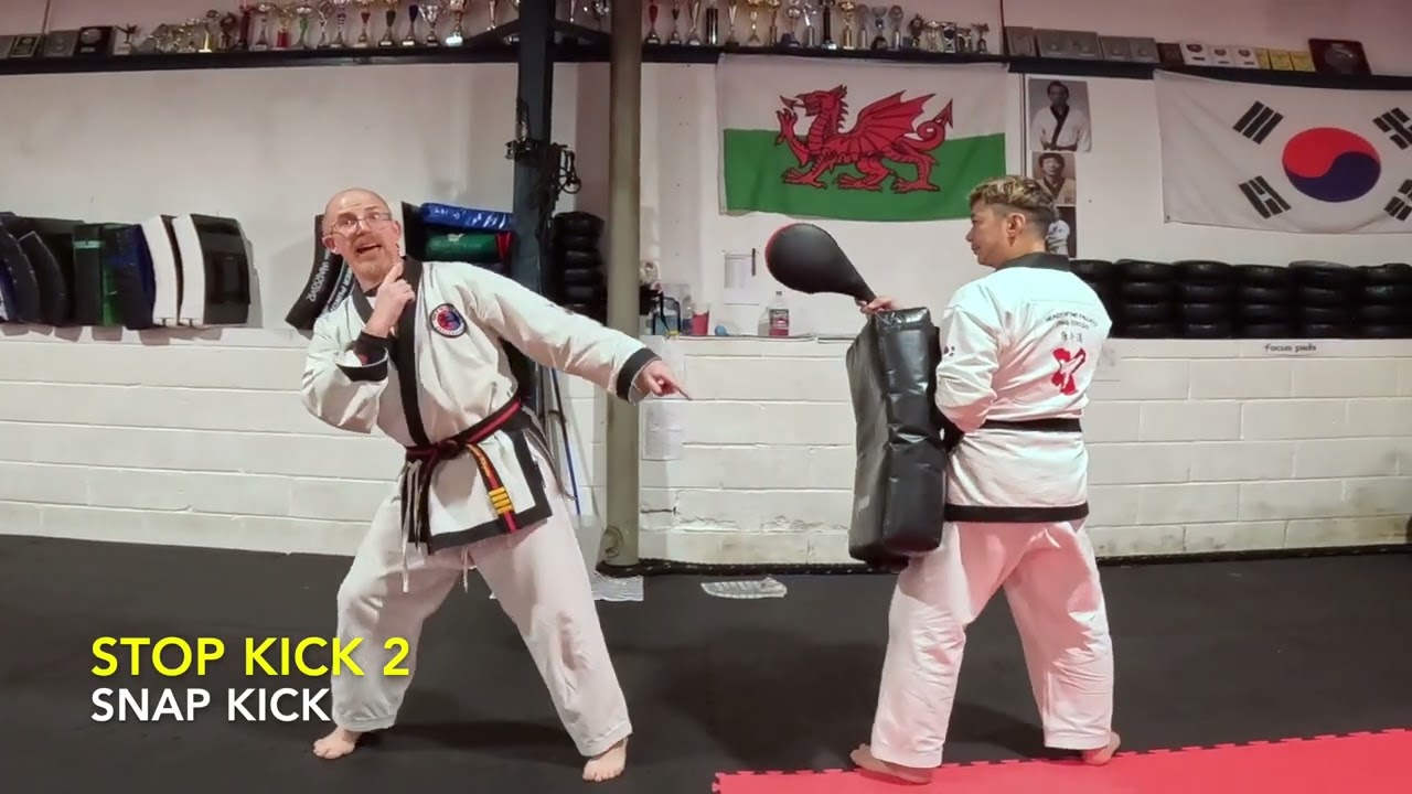 Stop Kicks - Sparring Drill