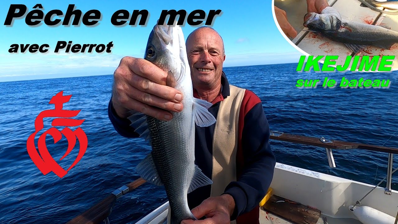 87🔪 IKEJIME 🐟 PÊCHE EN MER avec Pierrot 🐟 comment bien tuer vos poissons